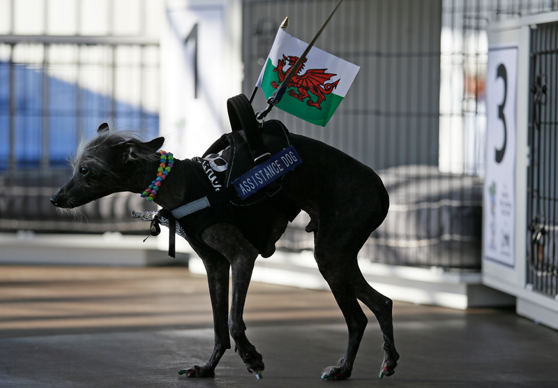 Eric Risberg/AP Images